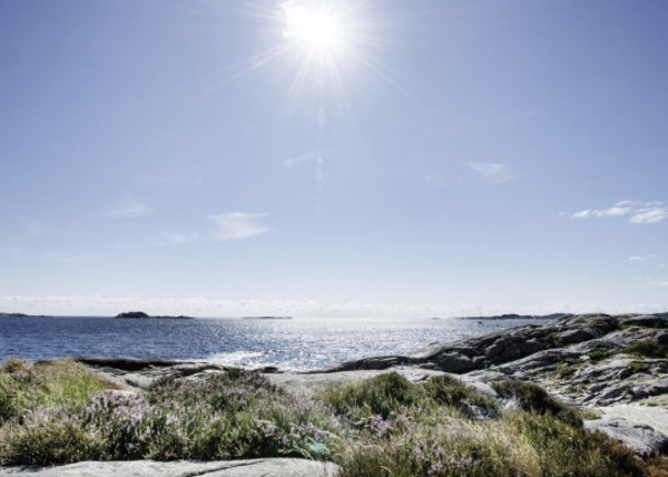 Bygdøy peninsula Homolulu gay nude beach and cruising area