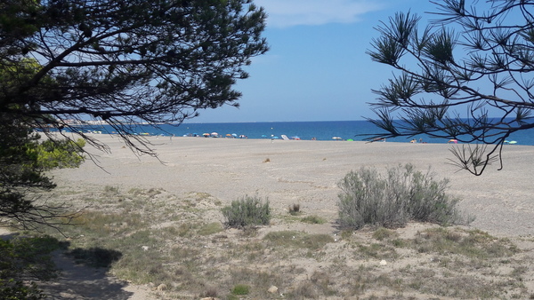 Playa del Torn